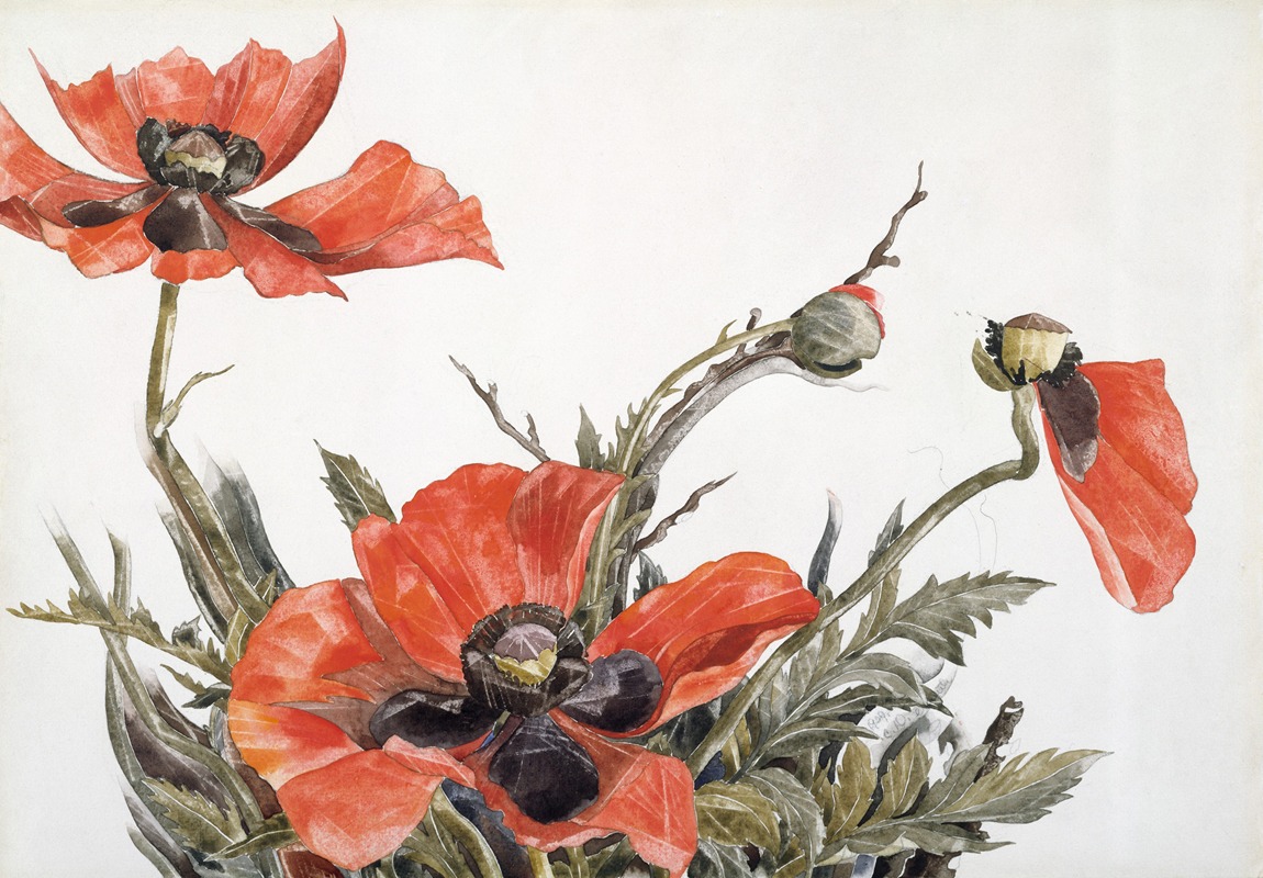 Charles Demuth - Red Poppies