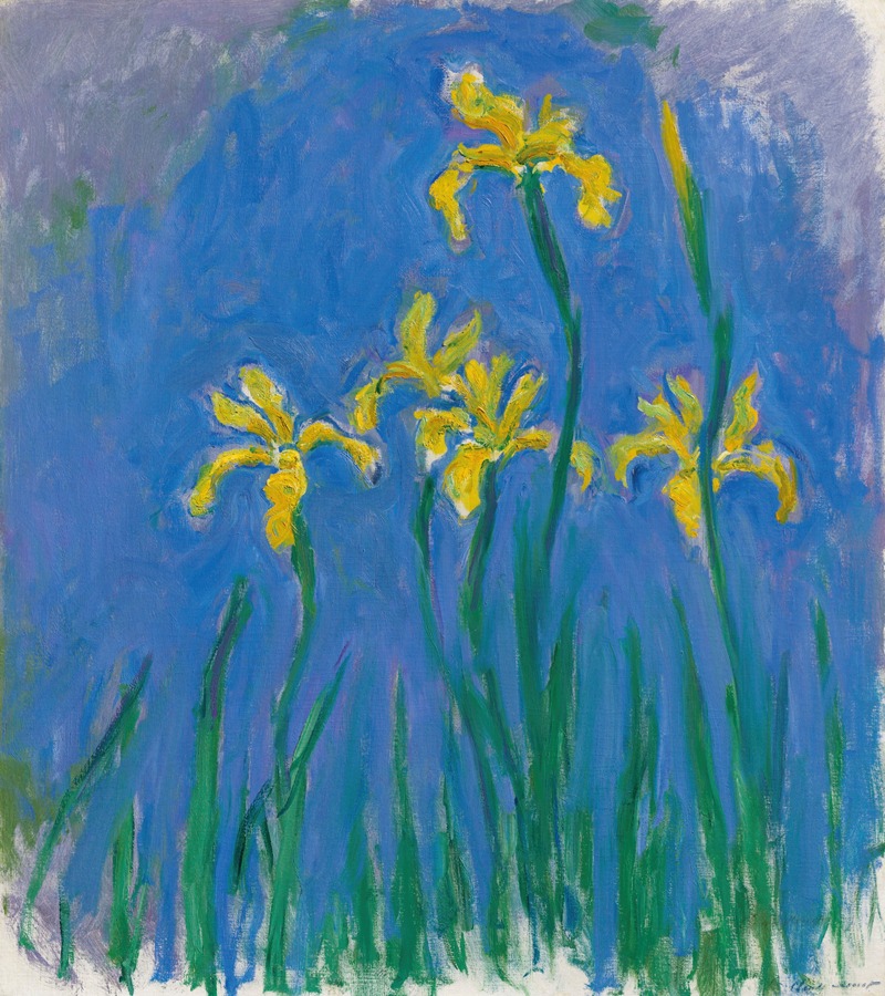 Claude Monet - Iris