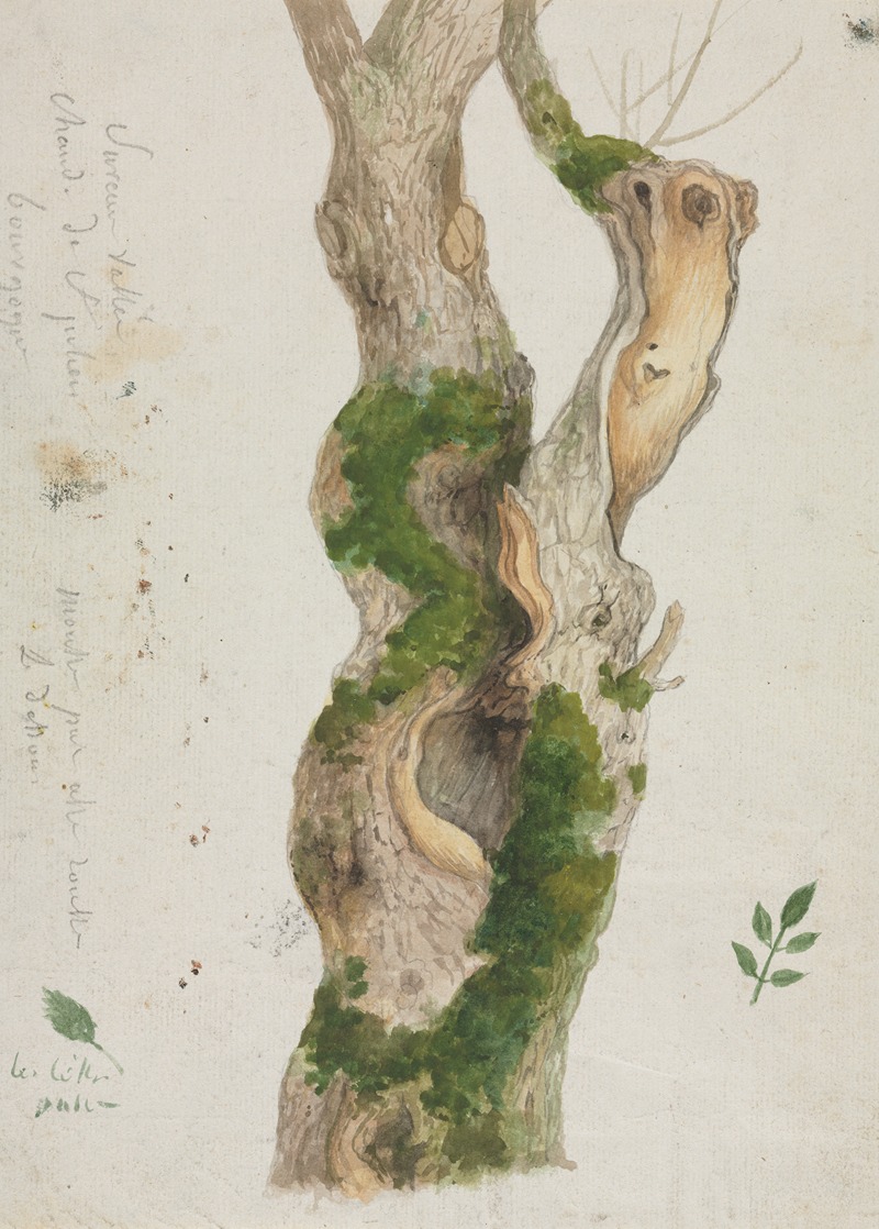 Georges Michel - Study of a Tree Trunk