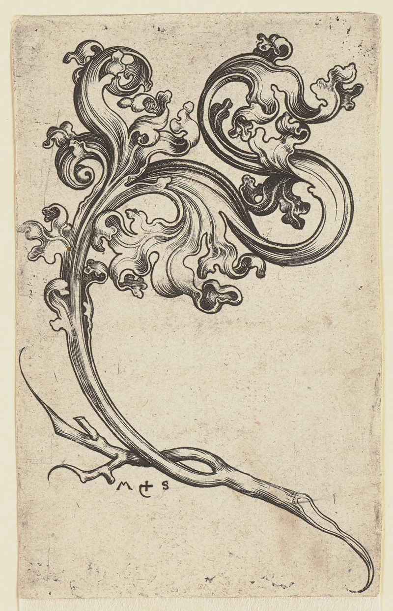 Martin Schongauer - A Foliage Ornament