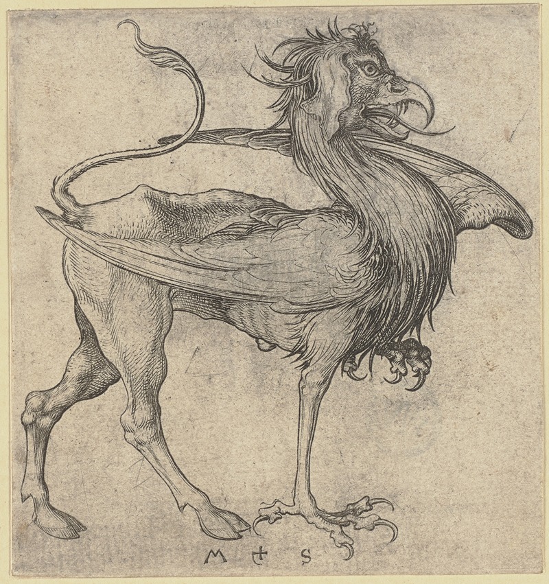 Martin Schongauer - The Griffin