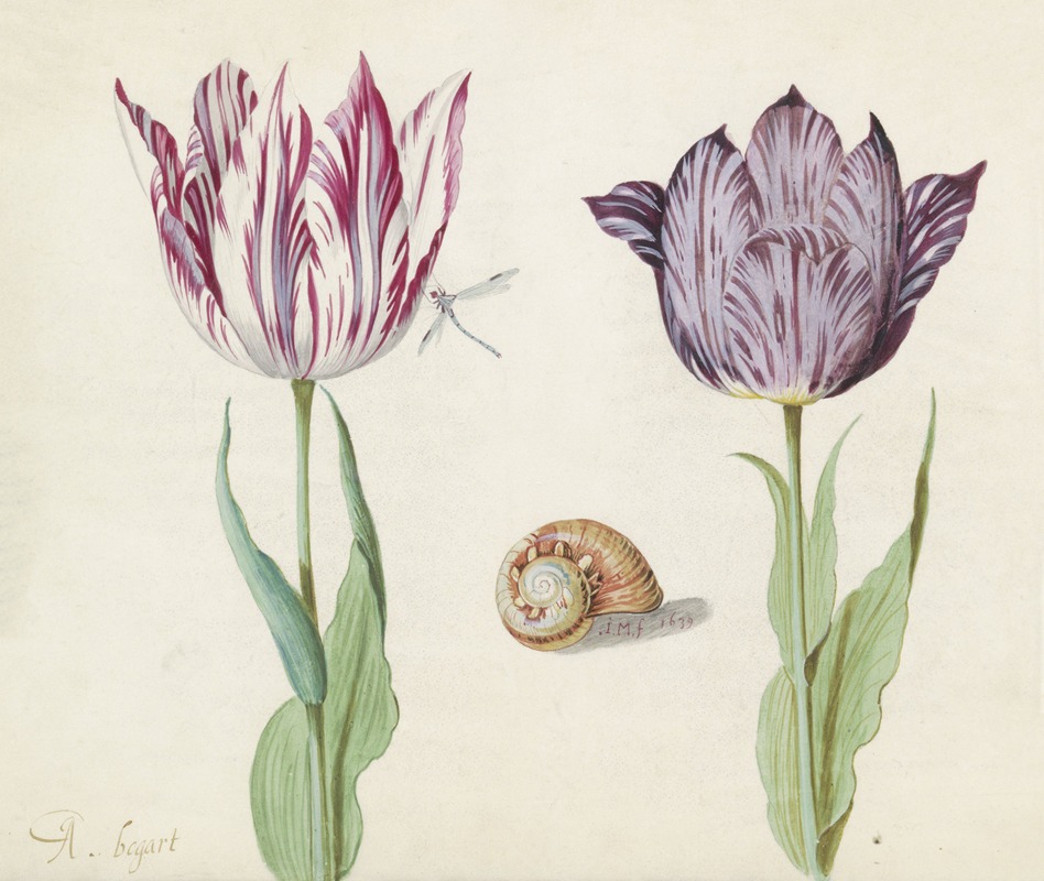 Jacob Marrel - Twee tulpen met slakkenhuis en waterjuffer A. bogart La Morta