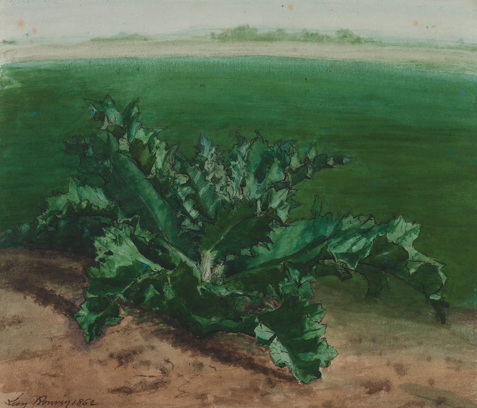 Léon Bonvin - Study of a Plant, Possibly Thistle