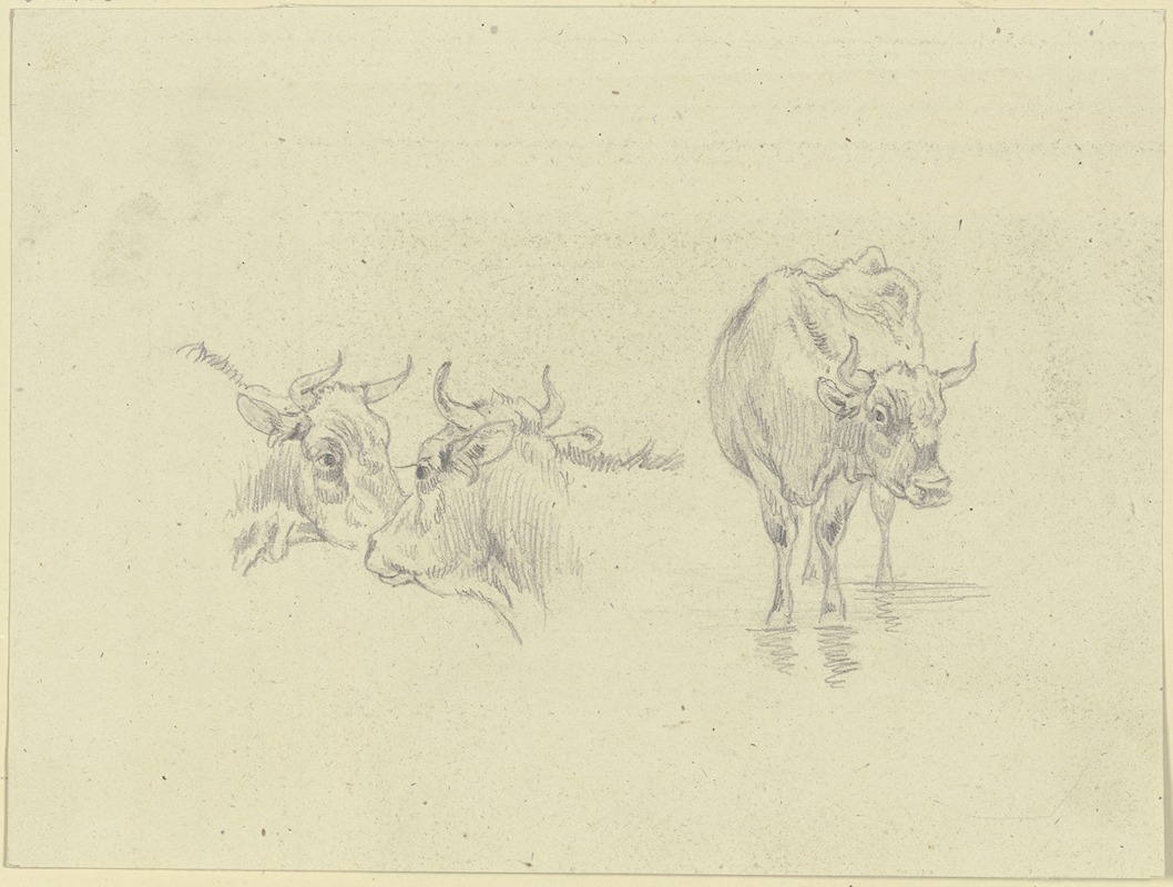 Max Joseph Wagenbauer - Kuh im Wasser und zwei Kuhköpfe