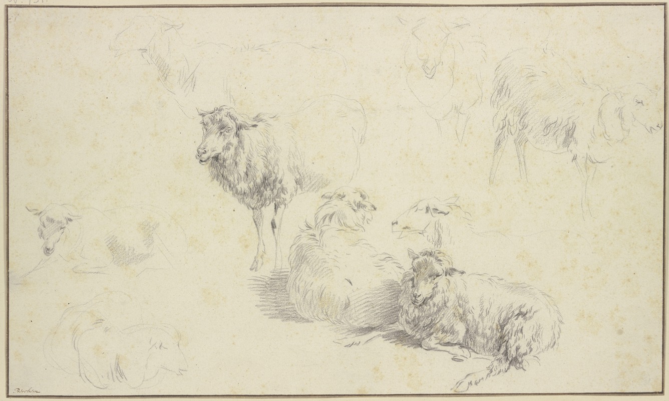 Nicolaes Pietersz. Berchem - Nine sheep