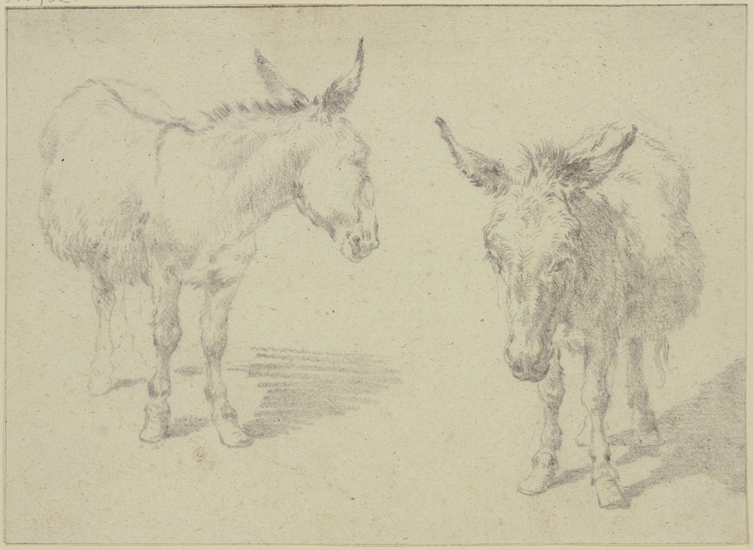 Nicolaes Pietersz. Berchem - Two donkeys