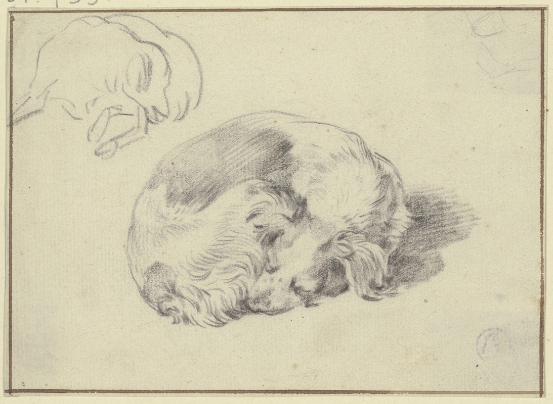 Nicolaes Pietersz. Berchem - Two sleeping dogs