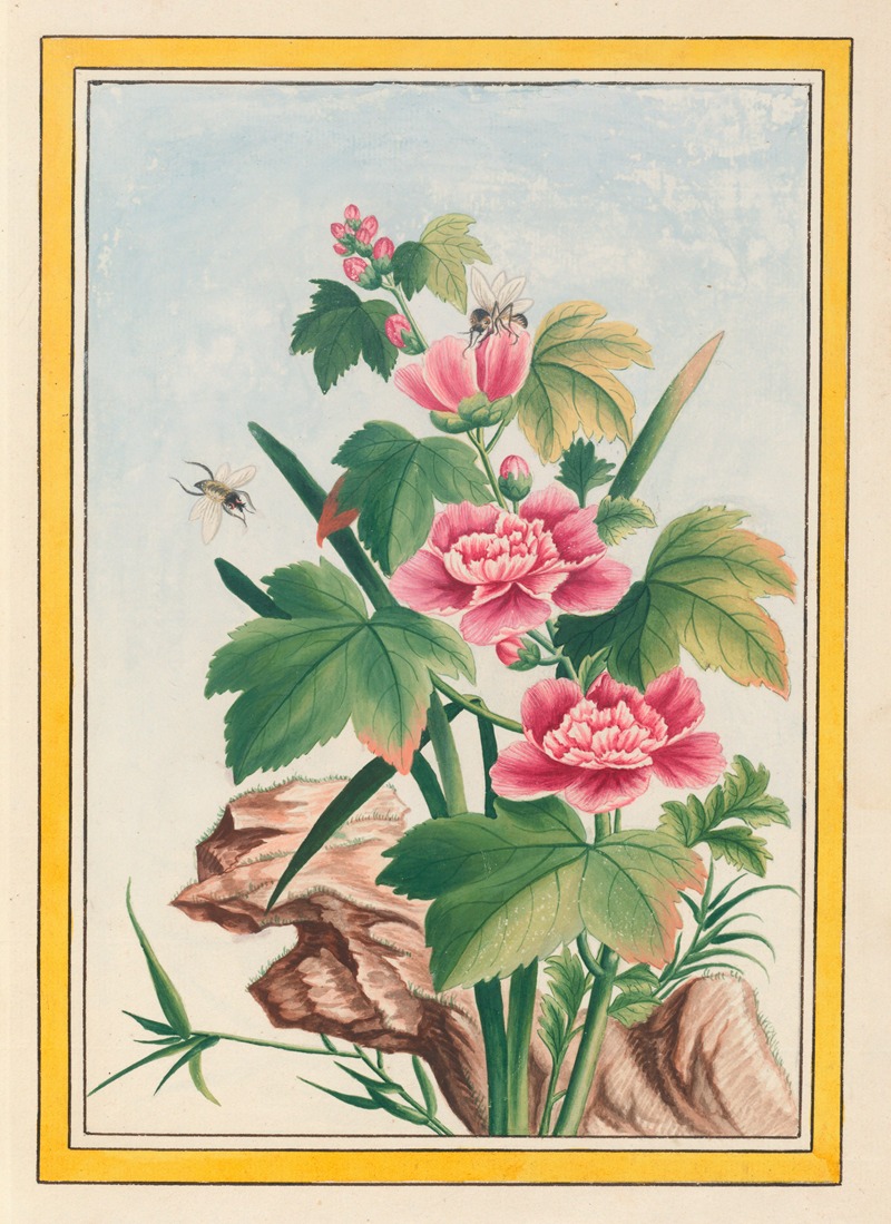 Pierre Joseph Buchoz - Plantes de Chine Pl.012