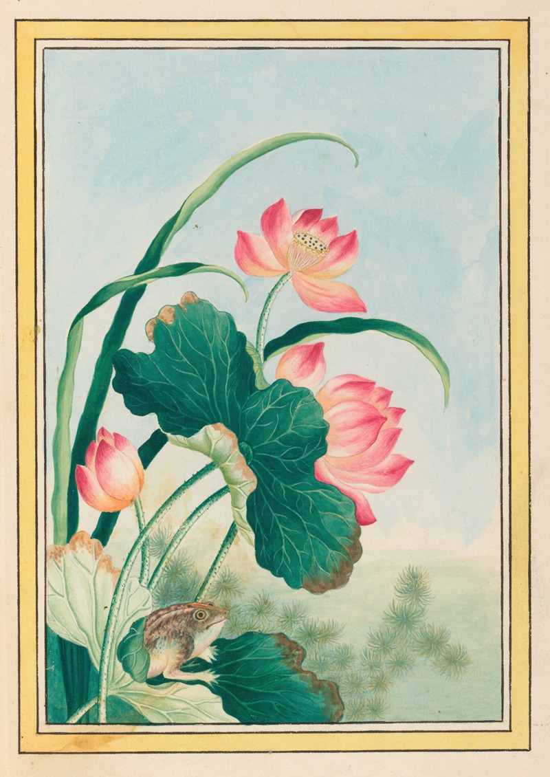 Pierre Joseph Buchoz - Plantes de Chine Pl.027