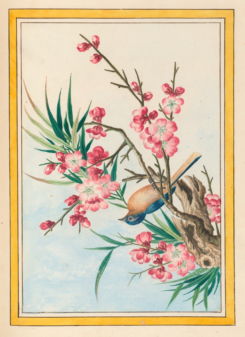 Pierre Joseph Buchoz - Plantes de Chine Pl.051