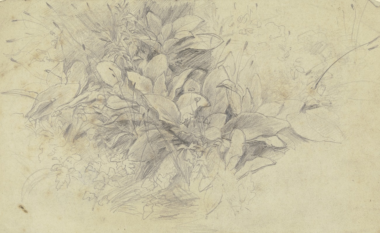 Otto Scholderer - Study of plants