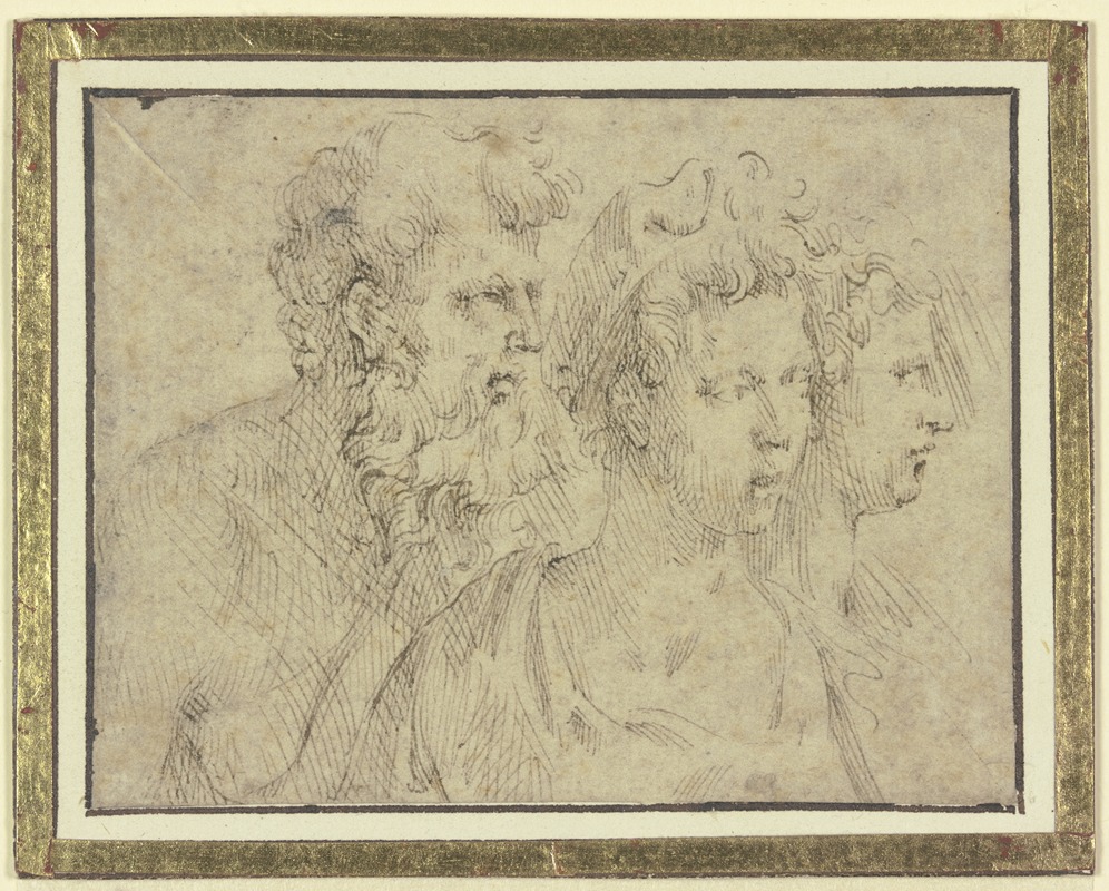 Parmigianino - Köpfe eines bärtigen Mannes und zweier Frauen