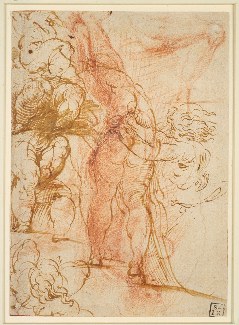 Parmigianino - Mehrere Beinstudien von Putten, einwärts laufender Männerakt, Beinstudie und stehende Figur