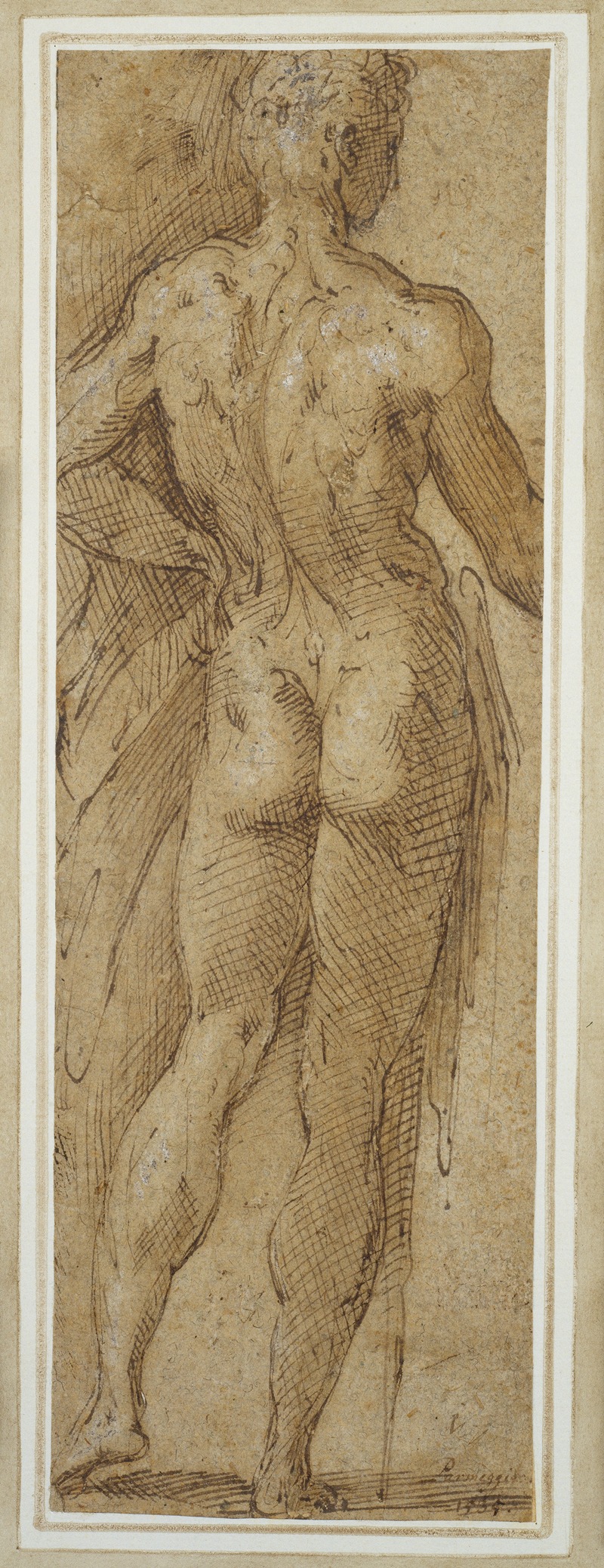 Parmigianino - Stehender männlicher Akt in Rückenansicht