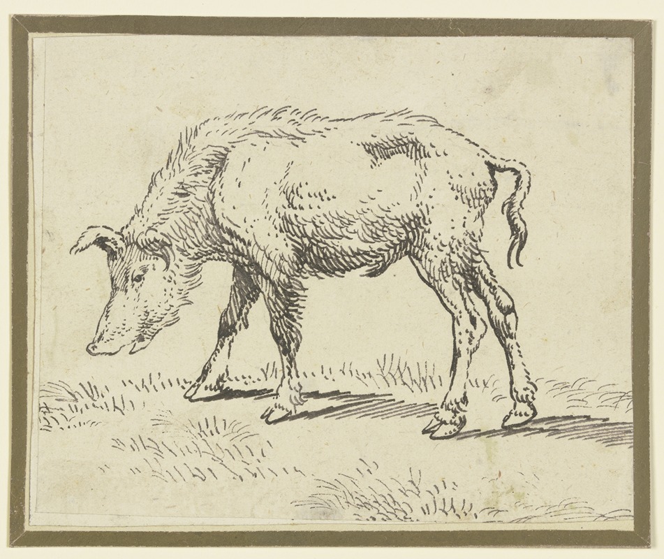 Paulus Potter - A pig to the left