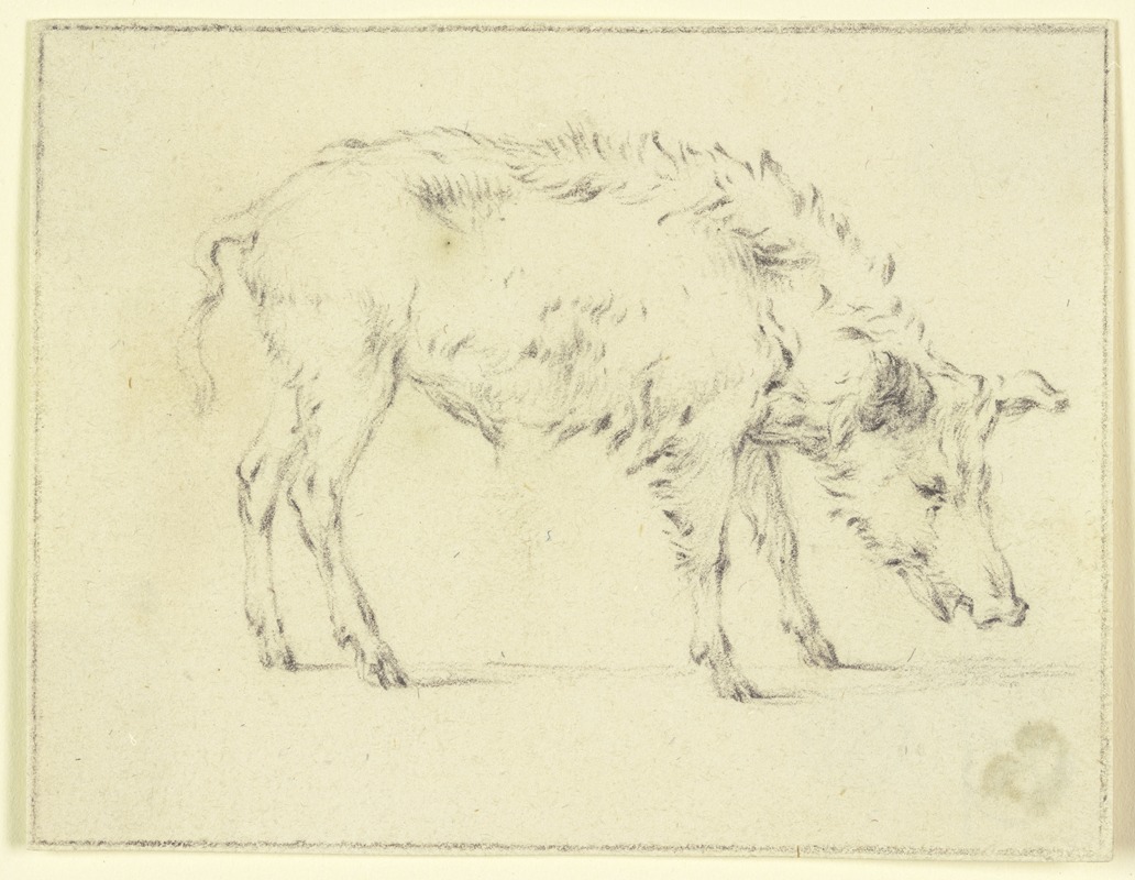 Paulus Potter - A pig to the right