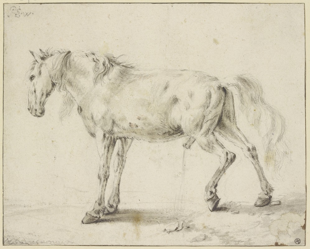 Philips Wouwerman - Peeing horse
