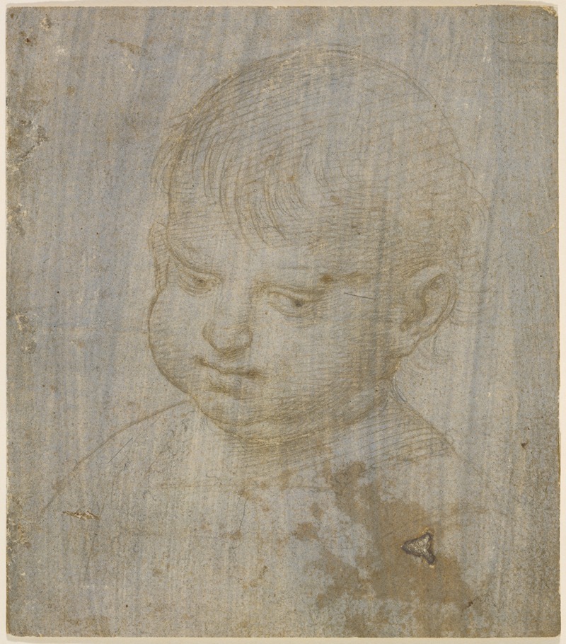 Raphael - A child’s head