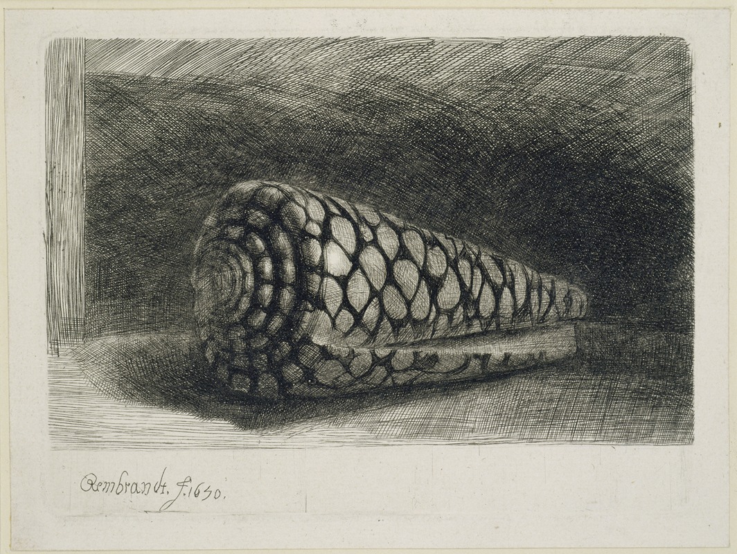 Rembrandt van Rijn - The Shell