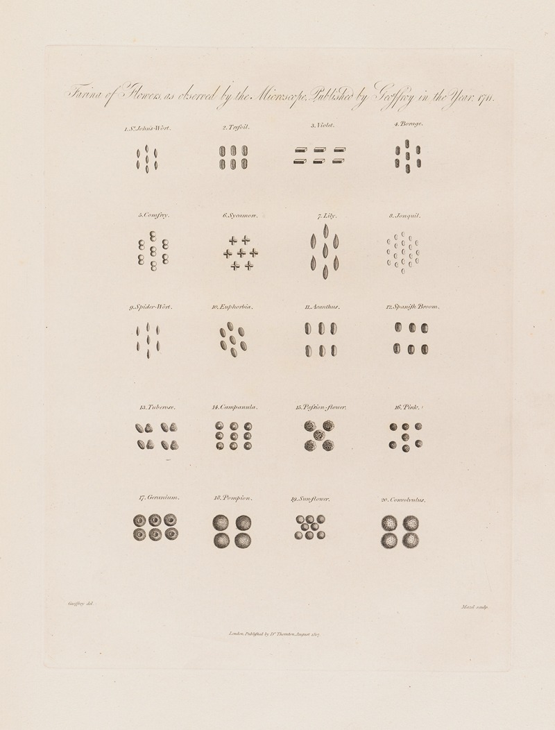 Robert John Thornton - Farina of Flowers as observed by the Microscope