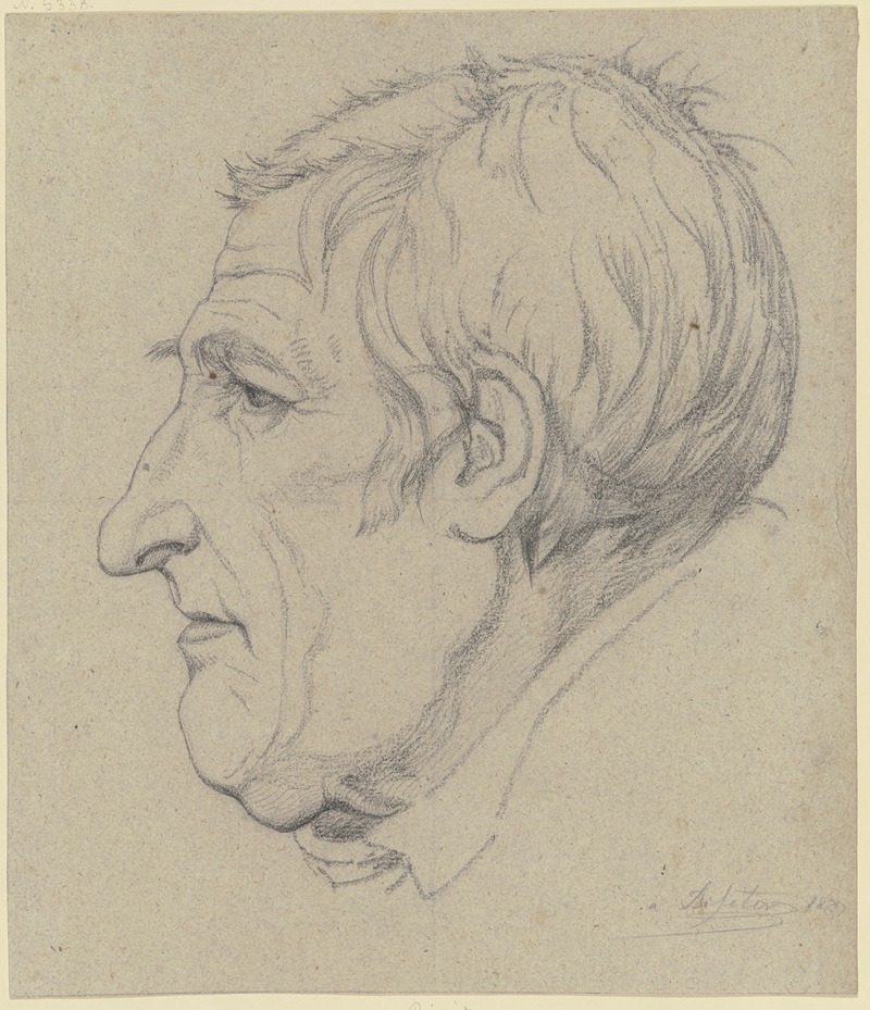 Theodor Pelissier - Head in profile