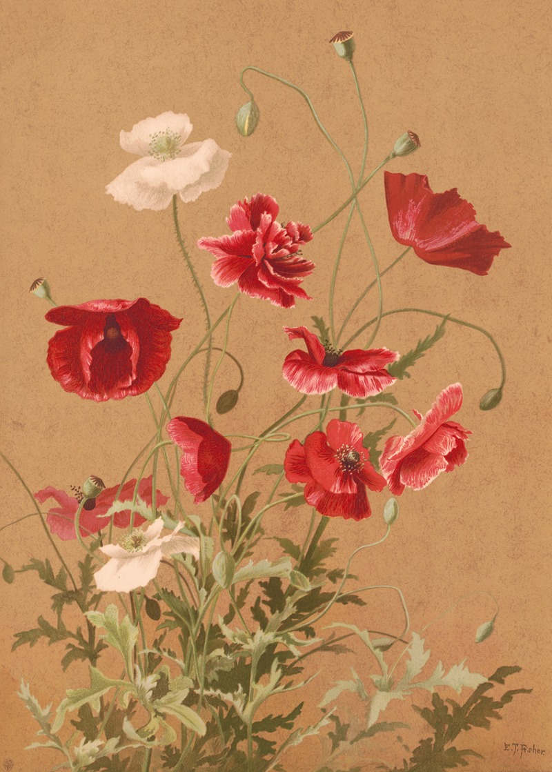 Ellen Fisher - Poppies