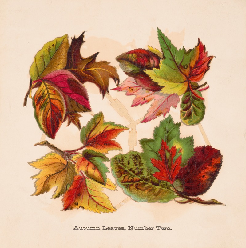 Louis Prang & Co. - Autumn leaves, no. two