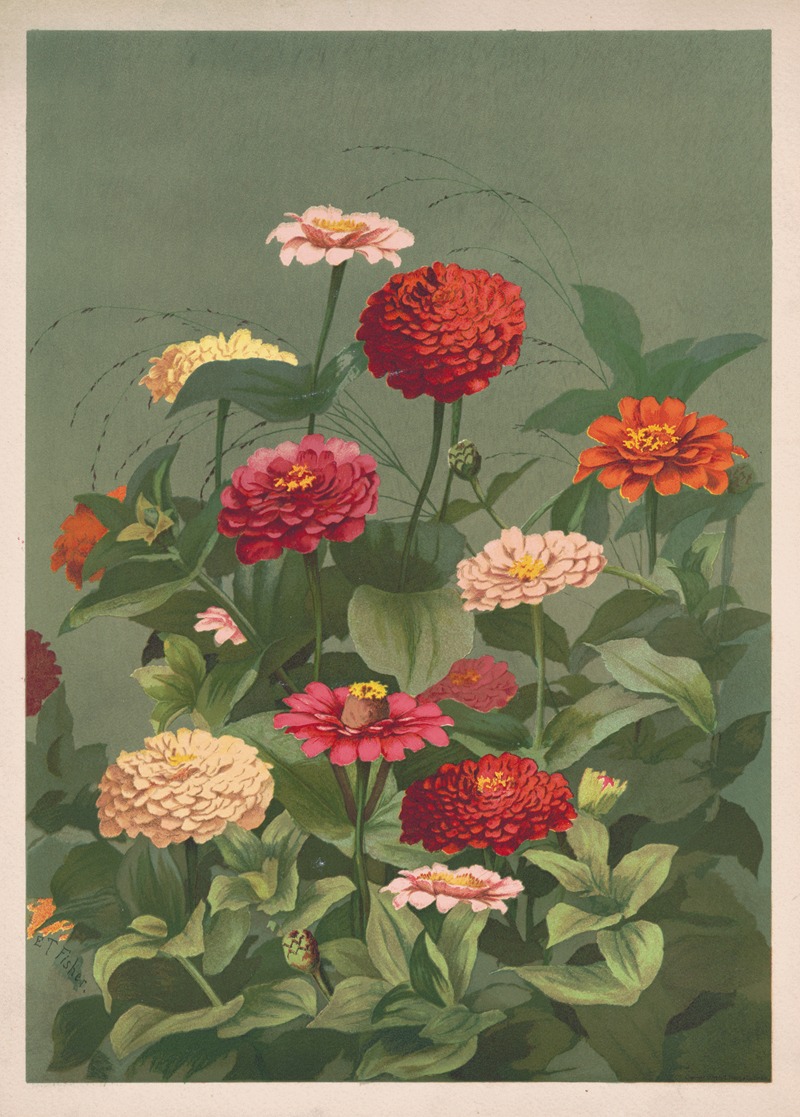 Louis Prang & Co. - Flowers