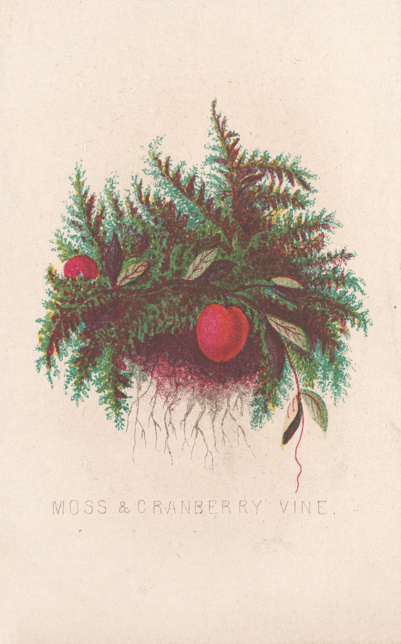 Louis Prang & Co. - Moss & cranberry vine