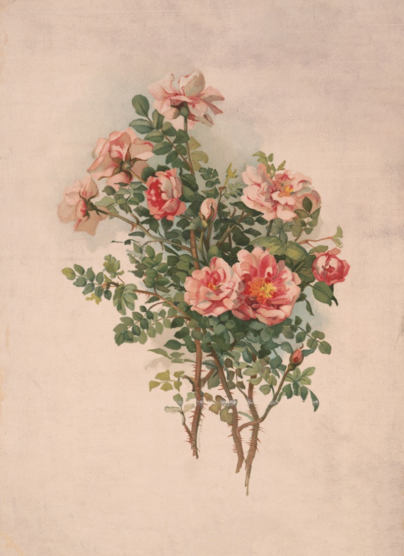 Louis Prang & Co. - Roses