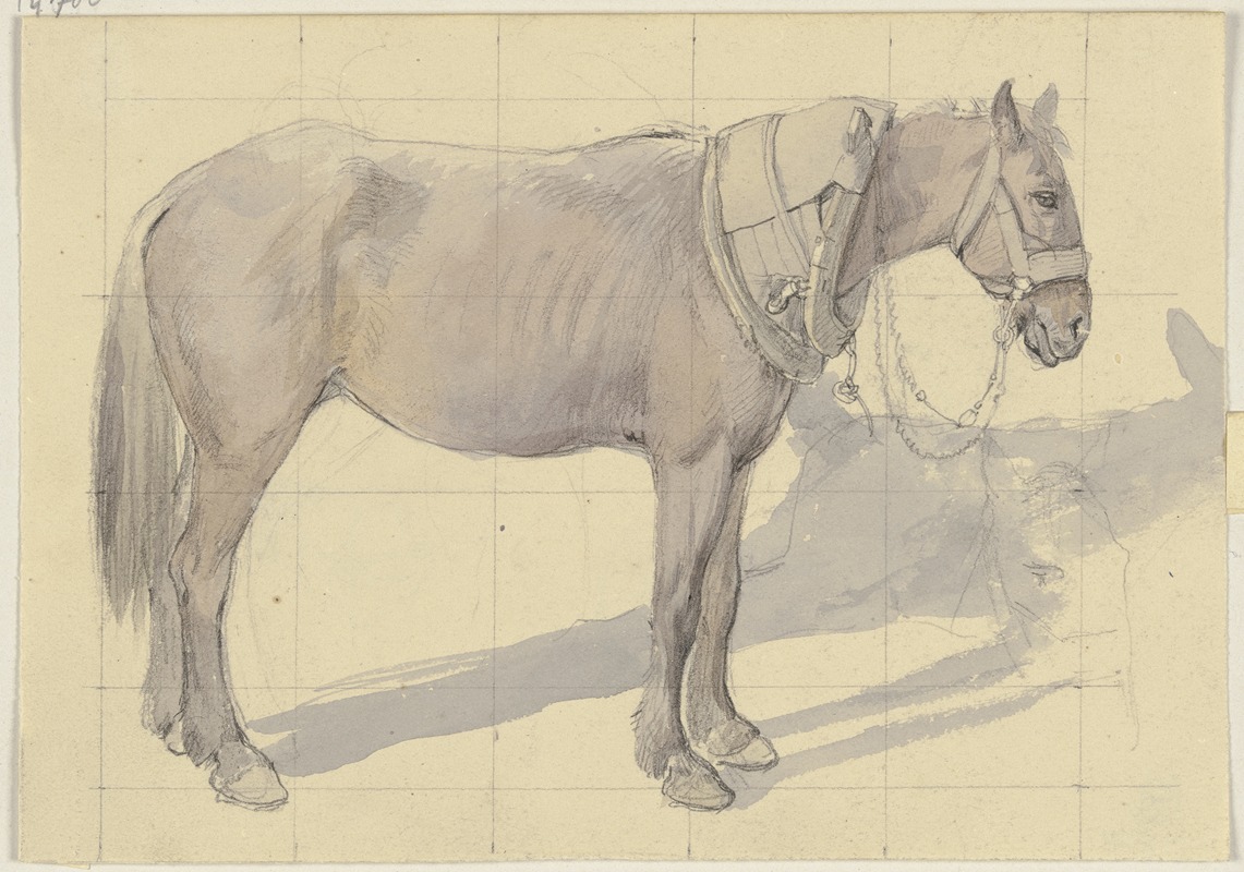 Jakob Becker - Bridled horse