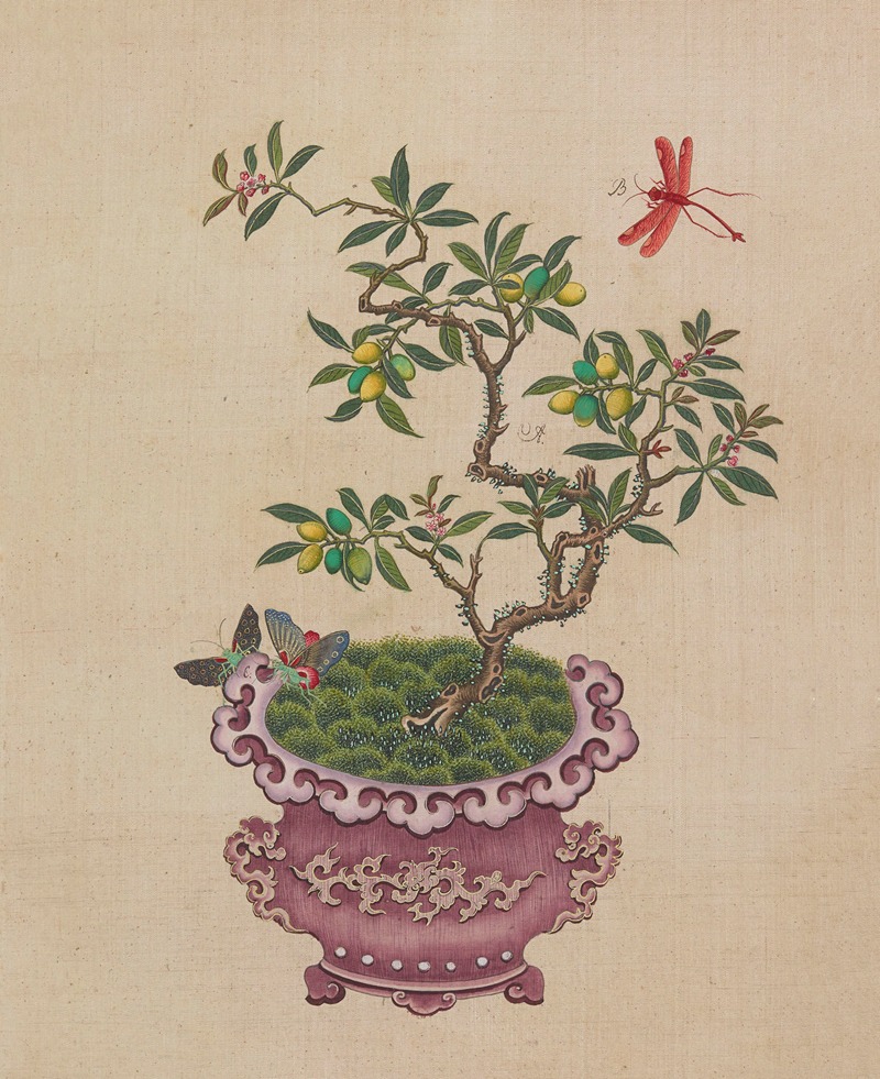 Anonymous - Flowers, birds and insects Pl.18