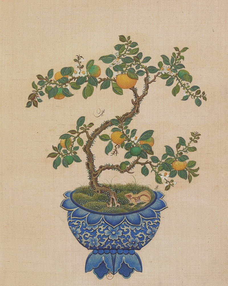 Anonymous - Flowers, birds and insects Pl.21