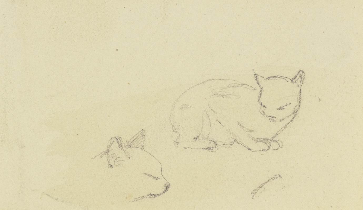 Jakob Becker - Study sheet; Cats