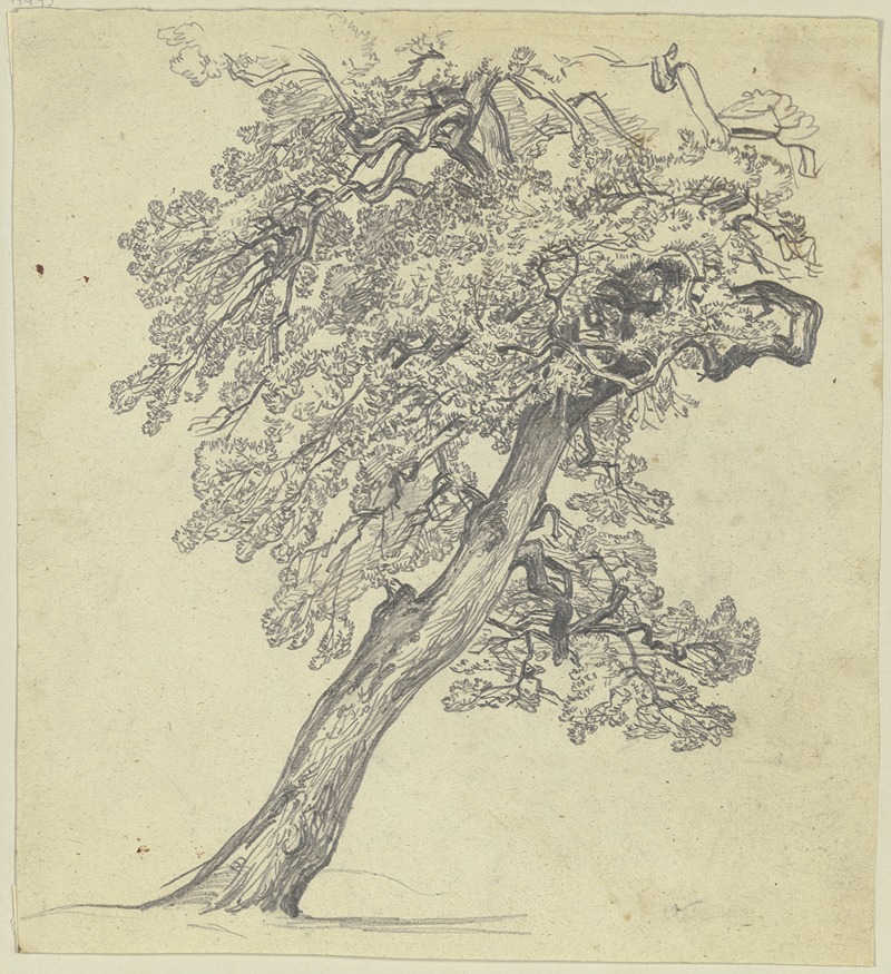Jakob Becker - Tree