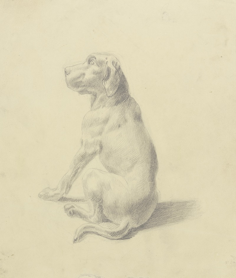Victor Müller - Sitting dog to the left