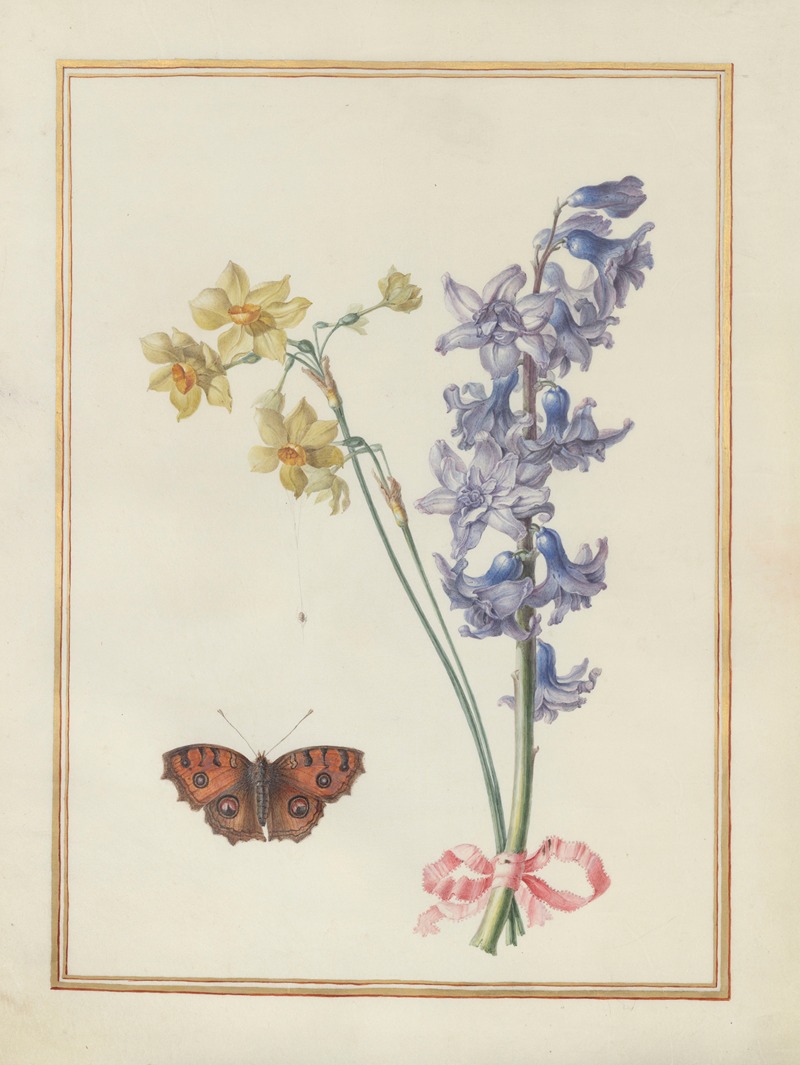 Madeleine-Françoise Basseporte - Collection of flower drawings Pl.07