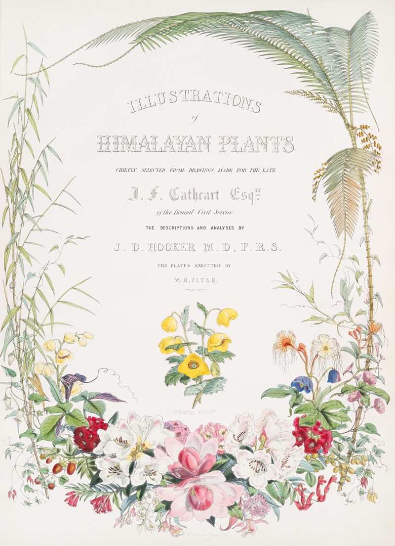 Walter Hood Fitch - Illustrations of Himalayan plants…, [Title page]