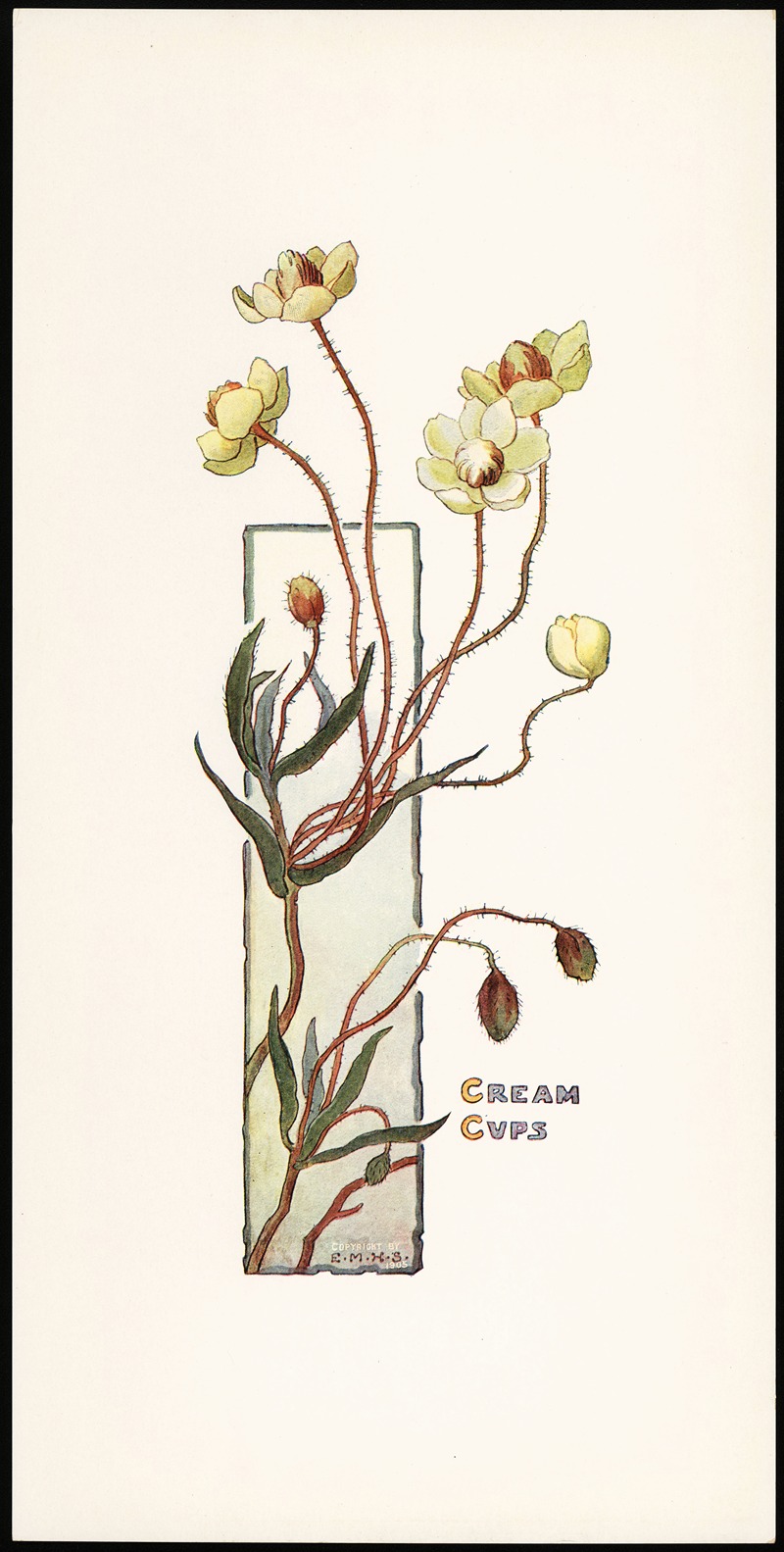 Elizabeth Moore Hallowell - Cream Cups