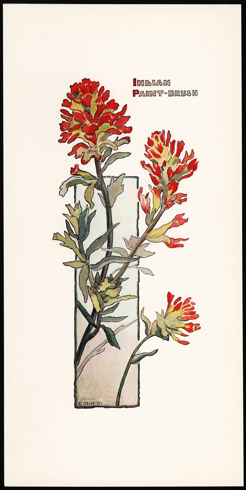 Elizabeth Moore Hallowell - Indian Paint Brush