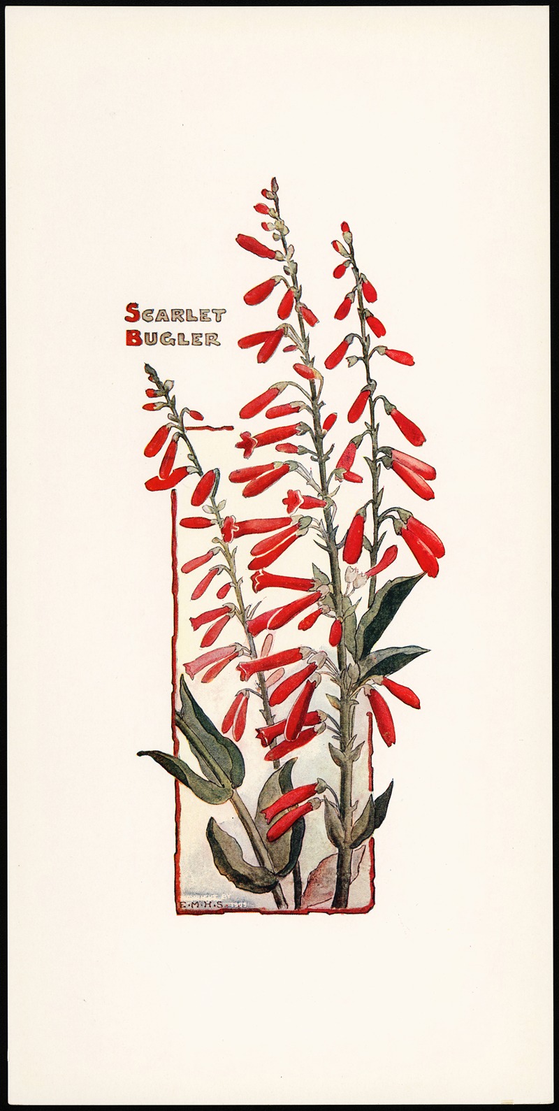 Elizabeth Moore Hallowell - Scarlet Bugler