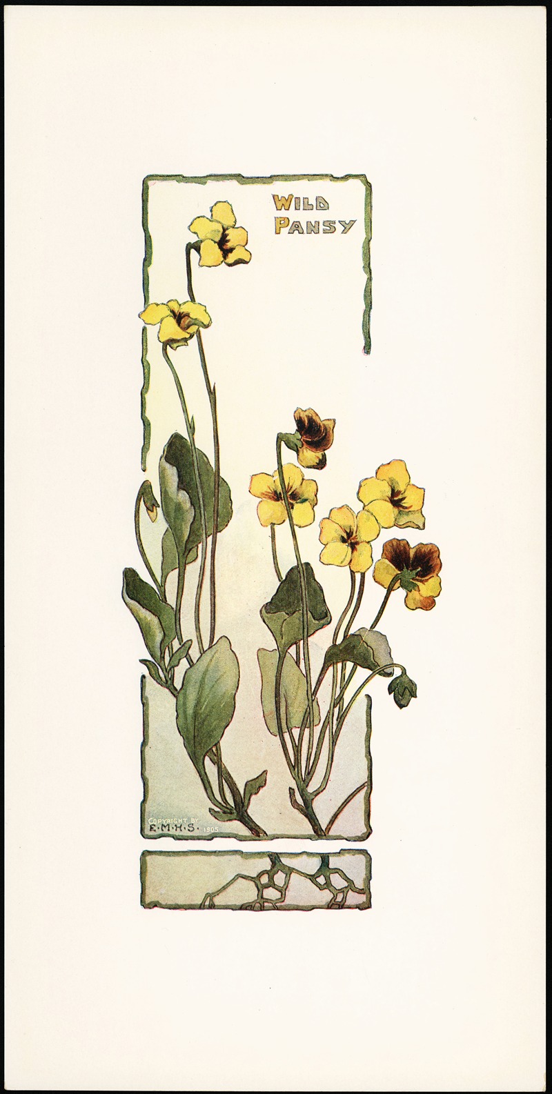 Elizabeth Moore Hallowell - Wild Pansy