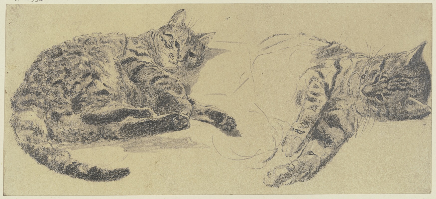 Wilhelm Gentz - Studies of cats