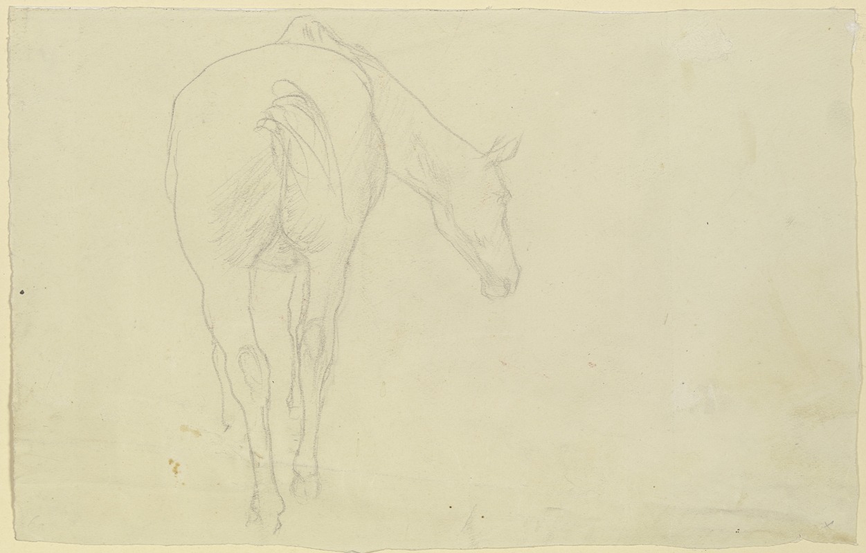 Wilhelm Rietschel - Pferd in Rückansicht, den Kopf nach rechts geneigt