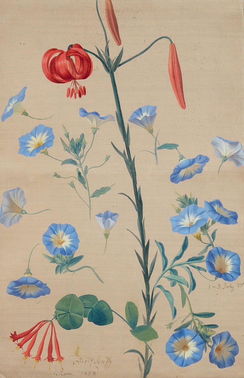 Adolf Carl Senff - Türkenbundlilie, Ackerwinden und Geissbla
