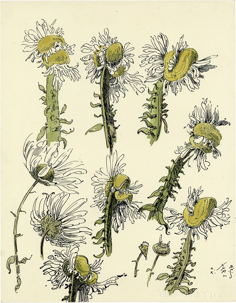 Alfred Ost - De St-Jansbloem