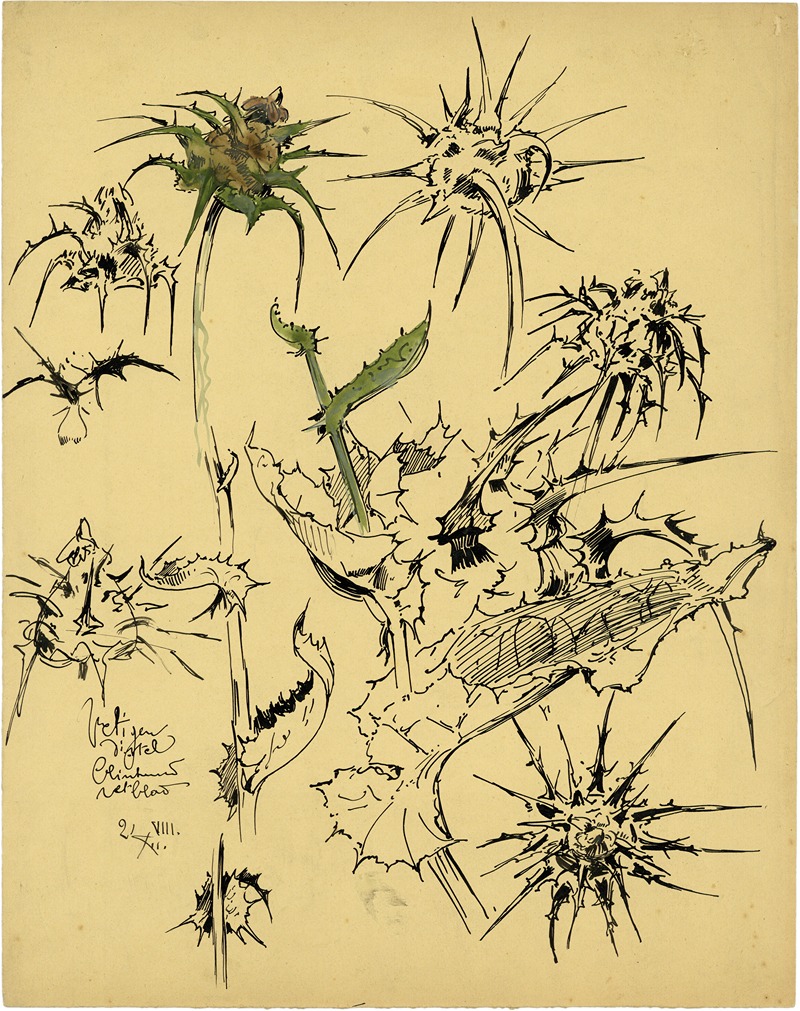 Alfred Ost - Distel, 2de soort