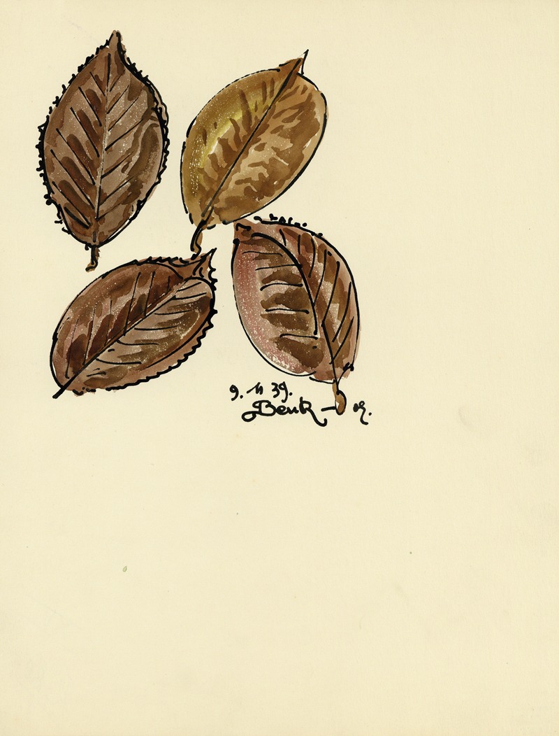 Alfred Ost - Planten
