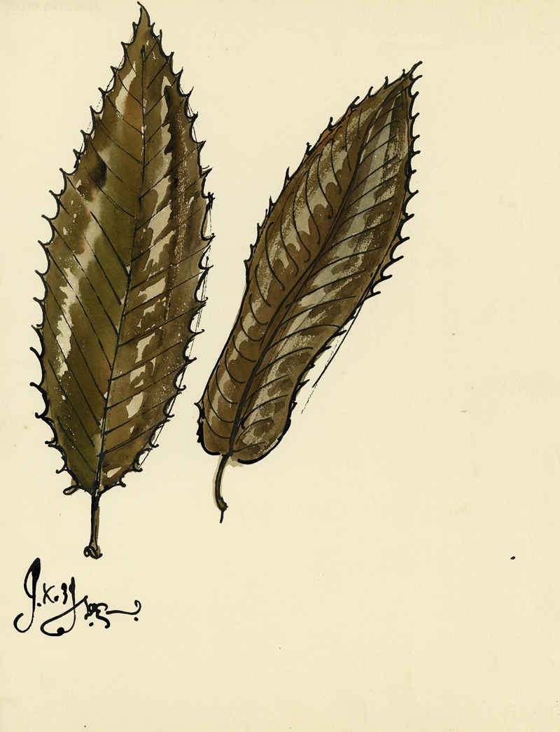 Alfred Ost - Planten