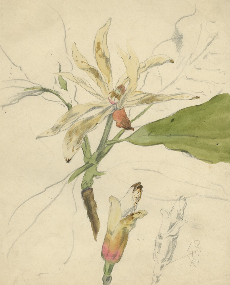 Alfred Ost - Westerse Magnolier